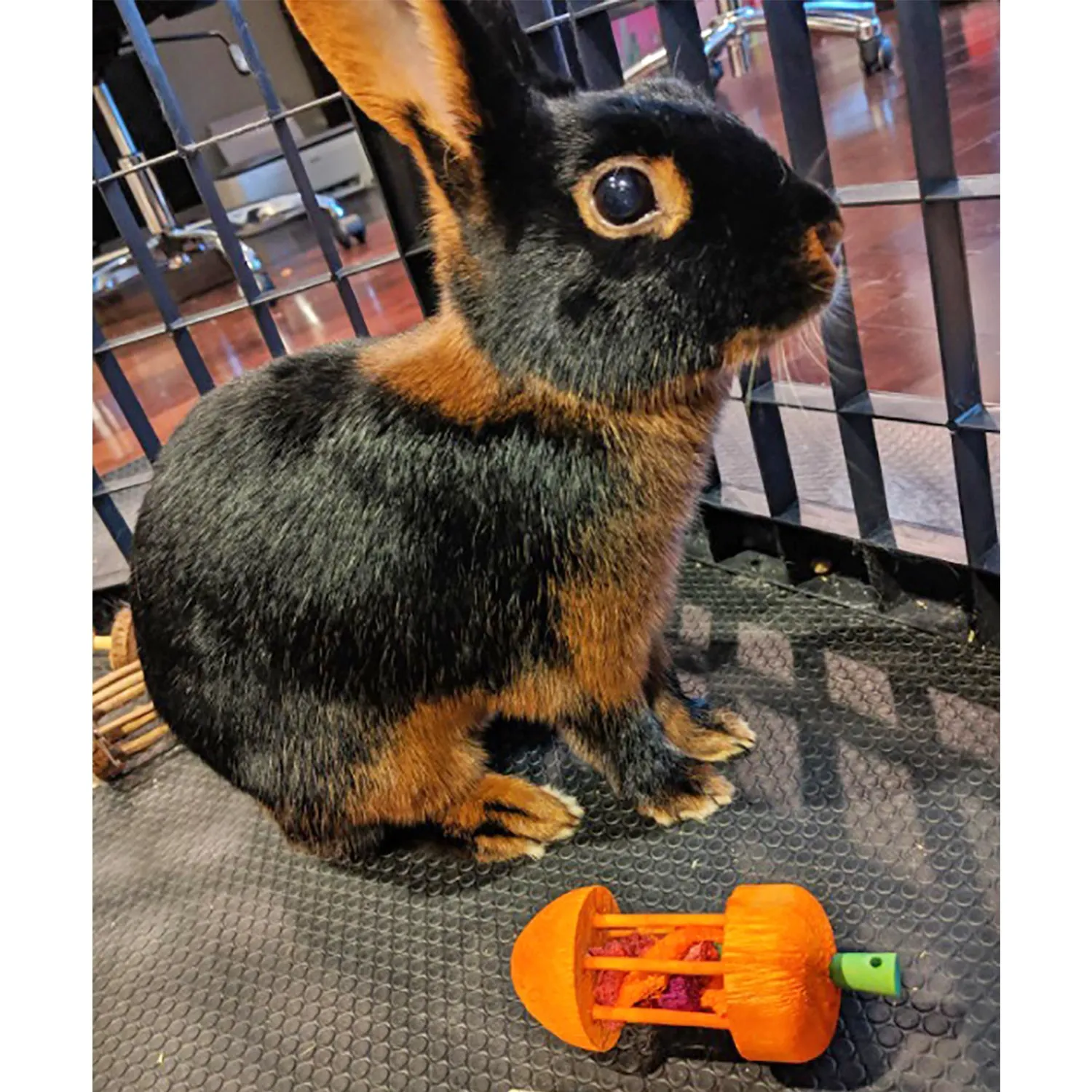 Carrot Roller Toy