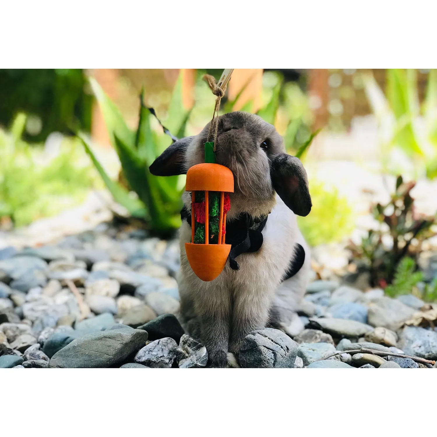 Carrot Roller Toy