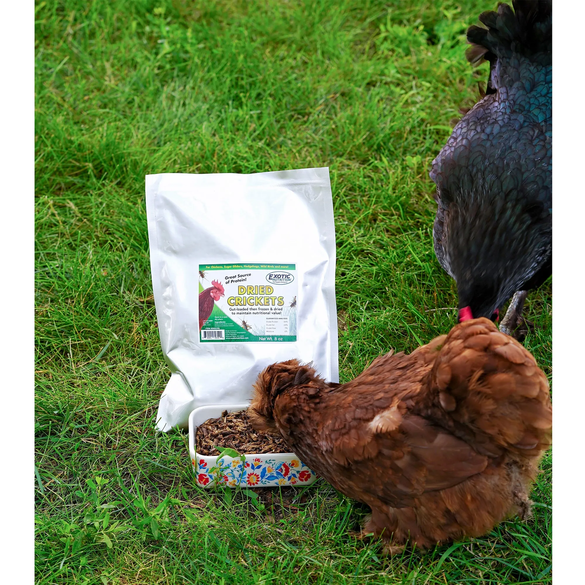 Chicken Treat 3 Pack