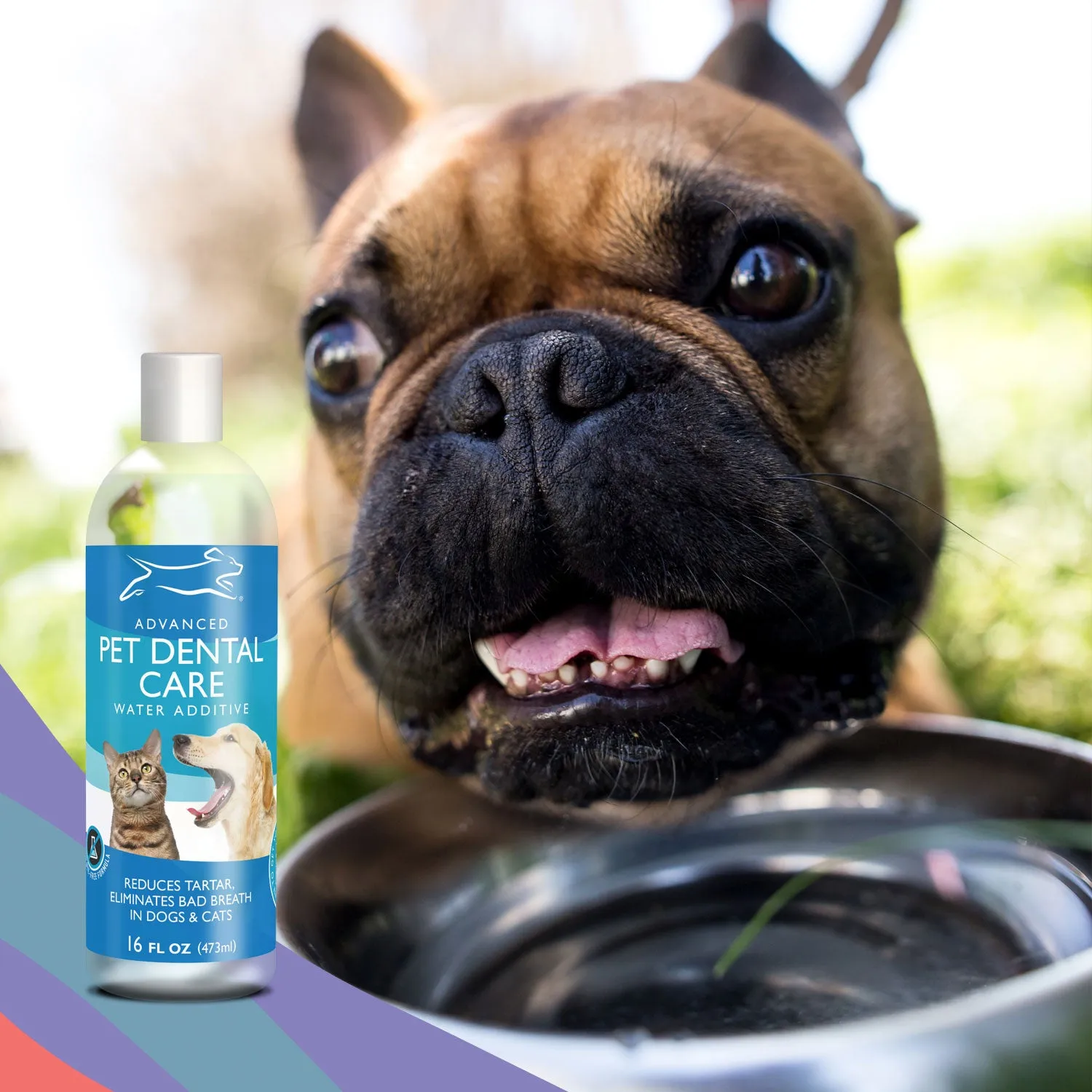 EBPP Pet Dental Care - Water Additive