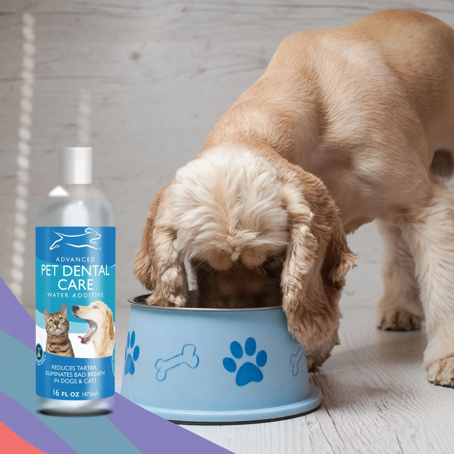 EBPP Pet Dental Care - Water Additive