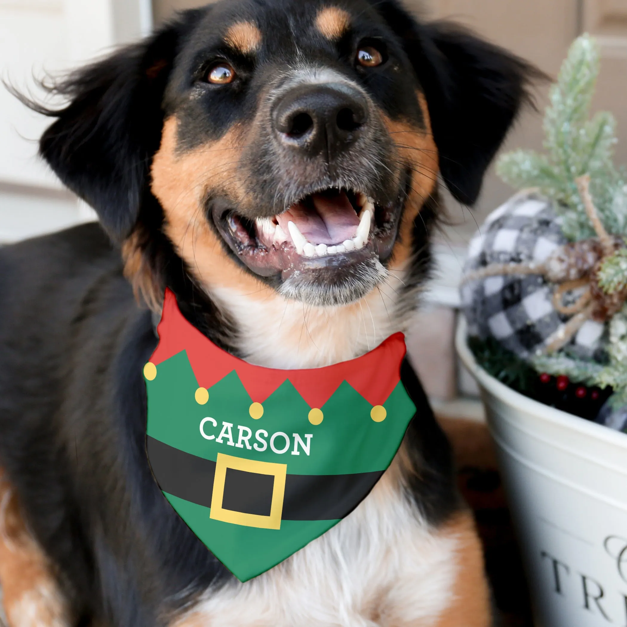 Elf Pet Bandana