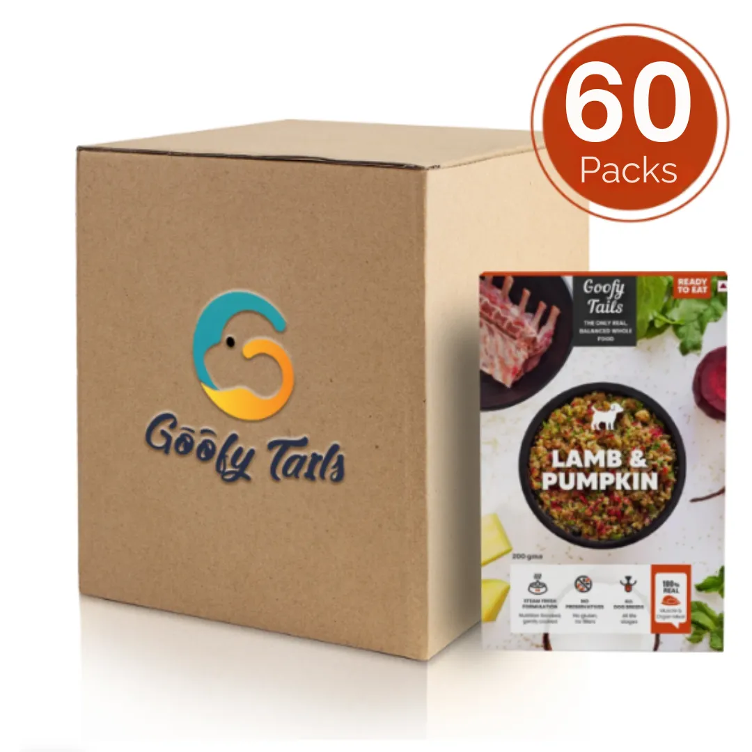 Goofy Tails Lamb and Pumpkin Fresh Food for Dogs and Puppies Buy 1 Get 1 (BOGO)