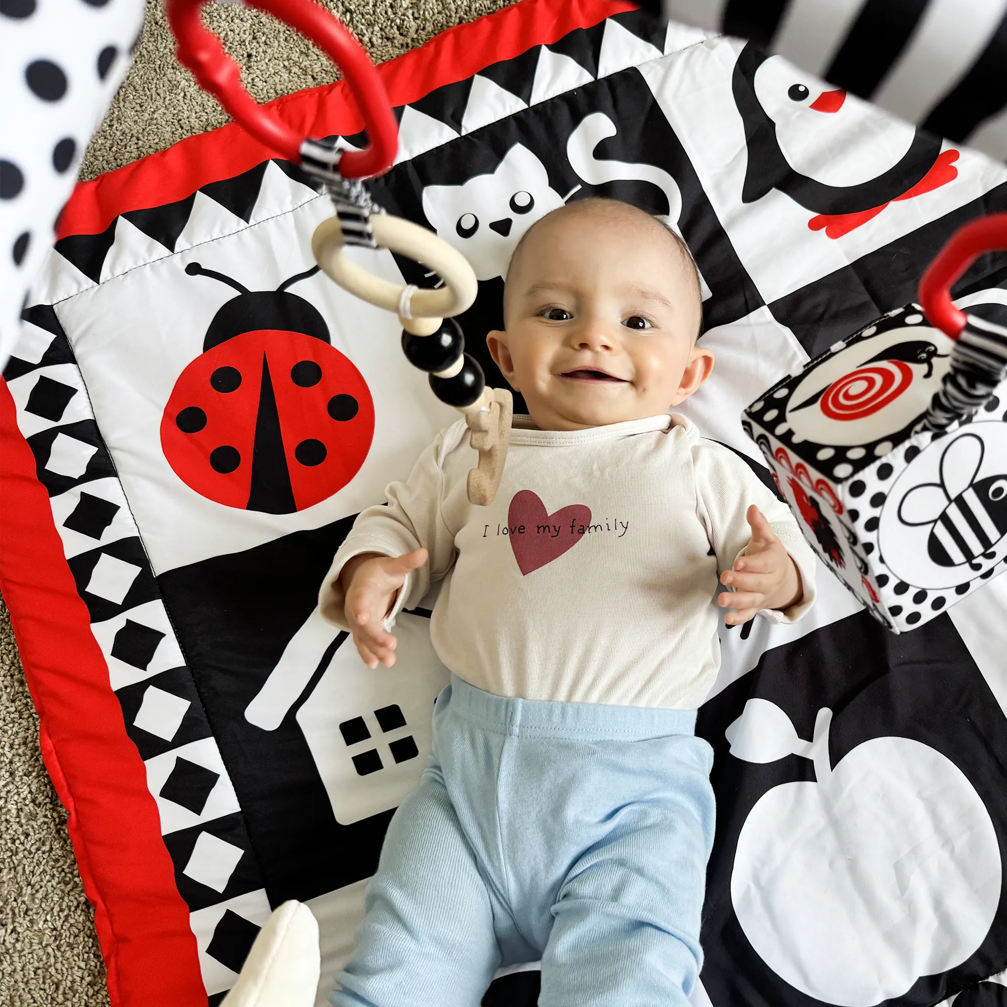 High Contrast Square Mat with Sound Toys