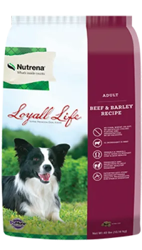 Loyall Life Adult Beef and Barley Dry Dog Food