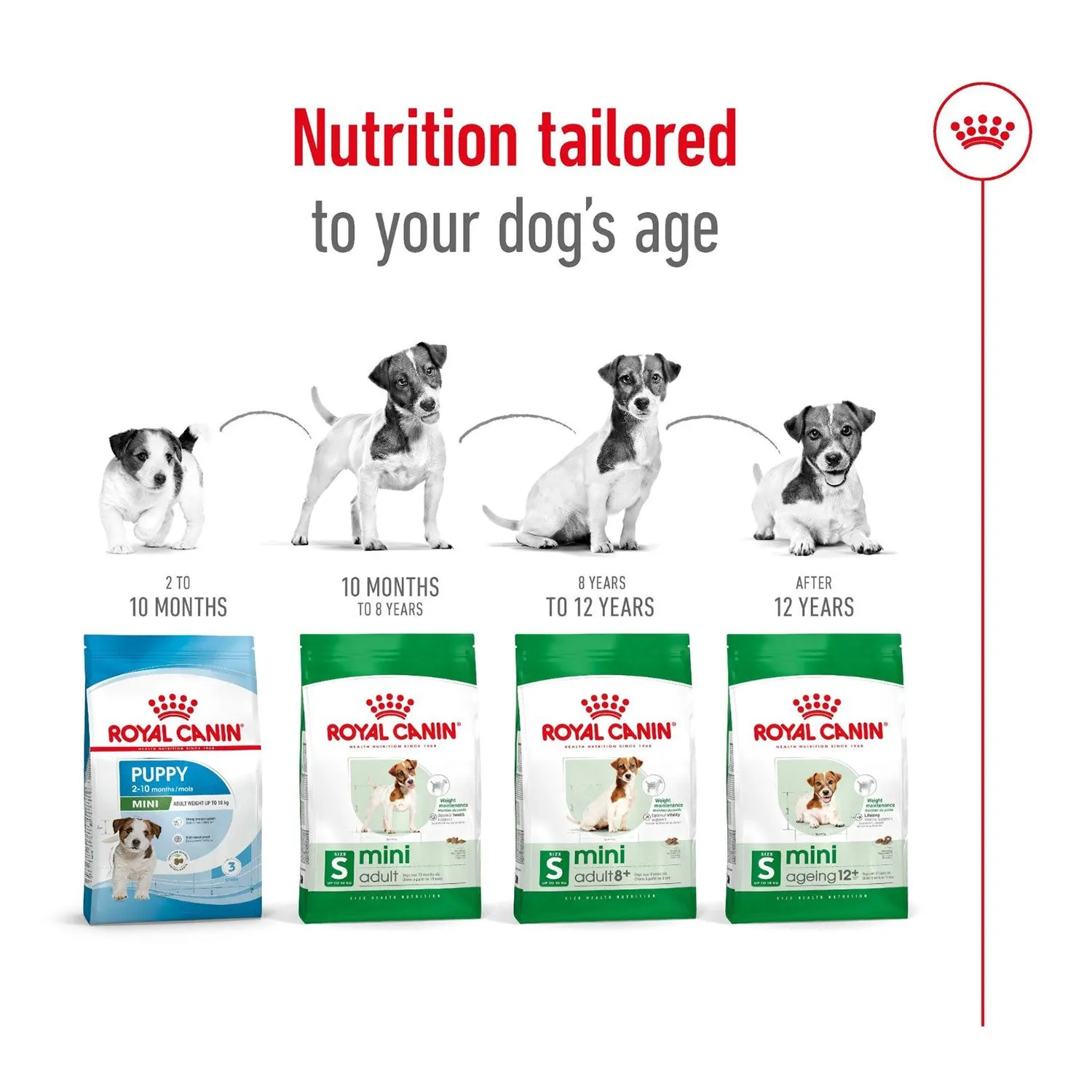 Royal Canin Mini Adult 8  Dry Dog Food 2kg