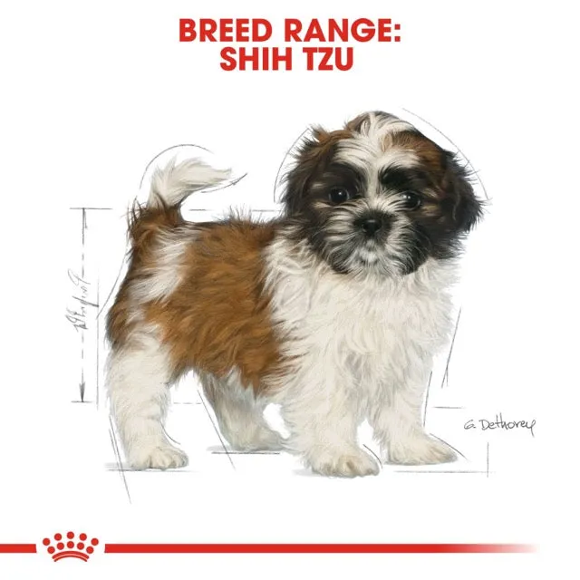 Royal Canin Shih Tzu Puppy