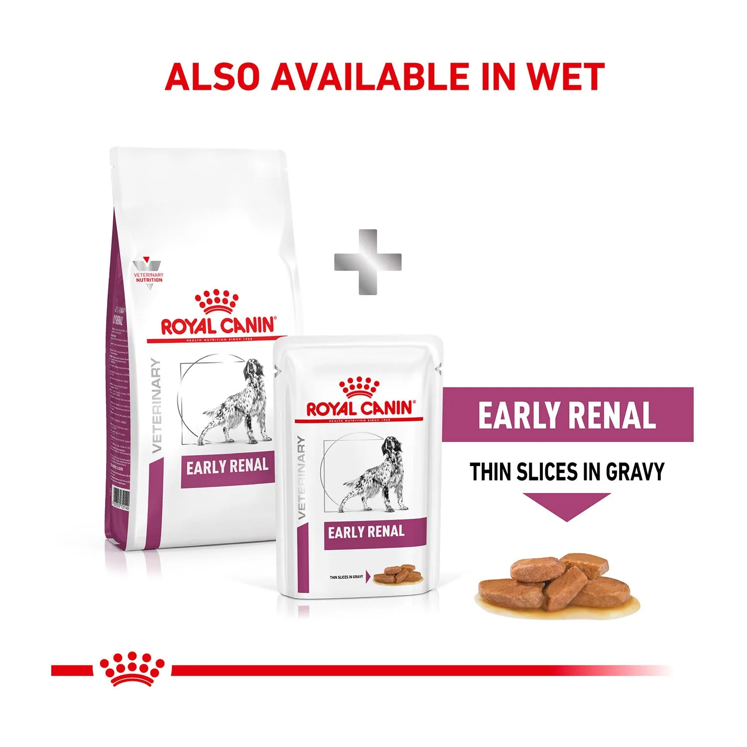 Royal Canin Veterinary Diet Early Renal Dry Dog Food