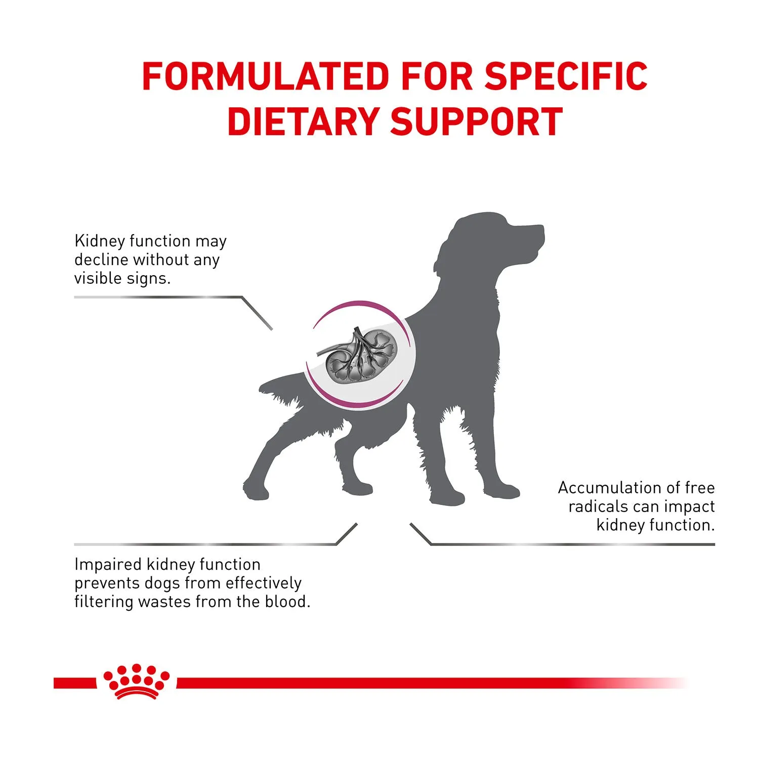 Royal Canin Veterinary Diet Early Renal Dry Dog Food