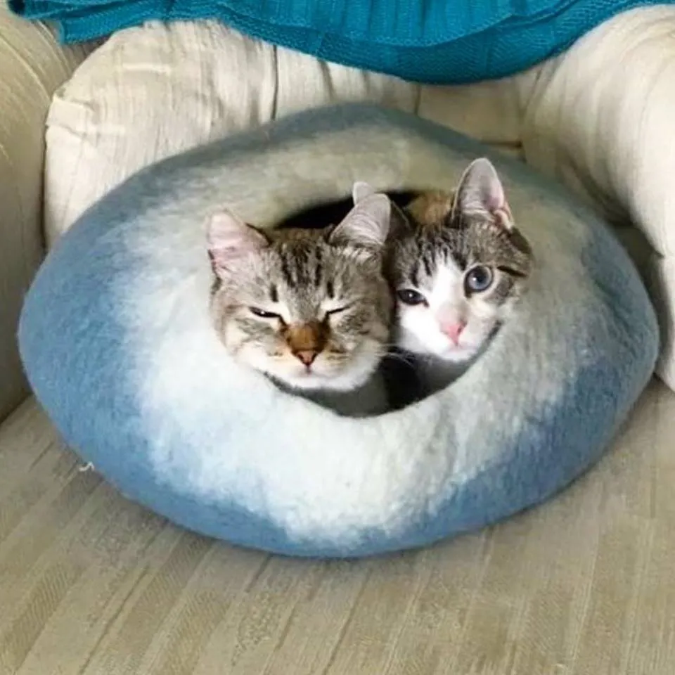 Sky Blue and White Cat Cave | Pet Bed