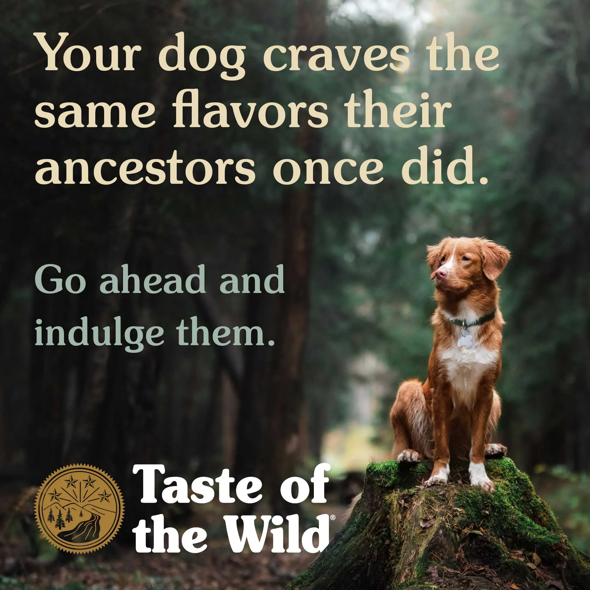 Taste Of The Wild Southwest Canyon Grain-Free Dog Food